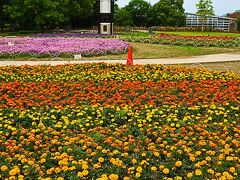 熊本24　熊本市動植物園ｄ　バラ咲き揃う花園　☆温室‐熱帯植物も目新しく