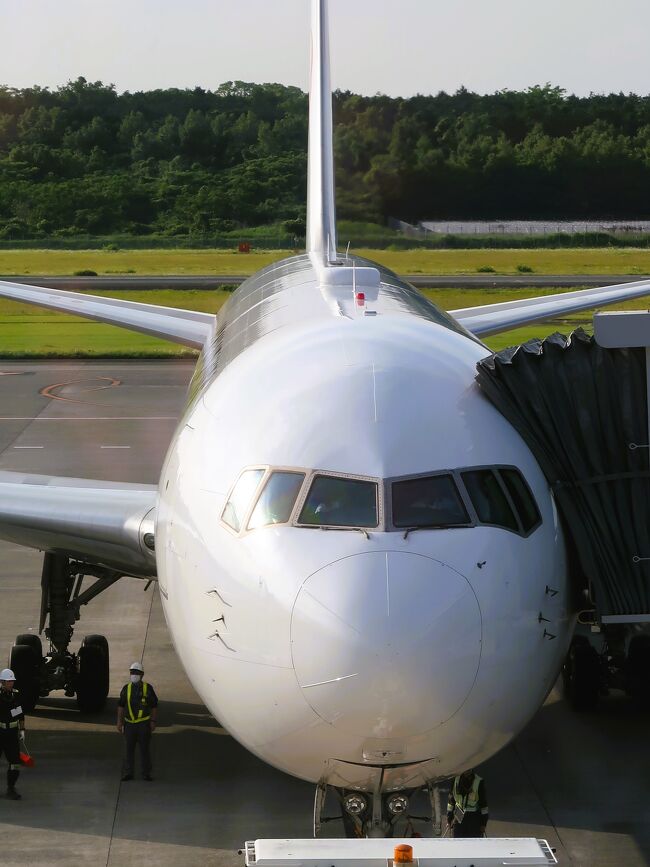 熊本空港は、熊本県上益城郡益城町にある空港。<br /><br />熊本市から北東へ約20kmの阿蘇山の山麓にある。<br />空港ビルは益城町にあるものの、滑走路のほとんどは菊陽町にあたる。 <br />