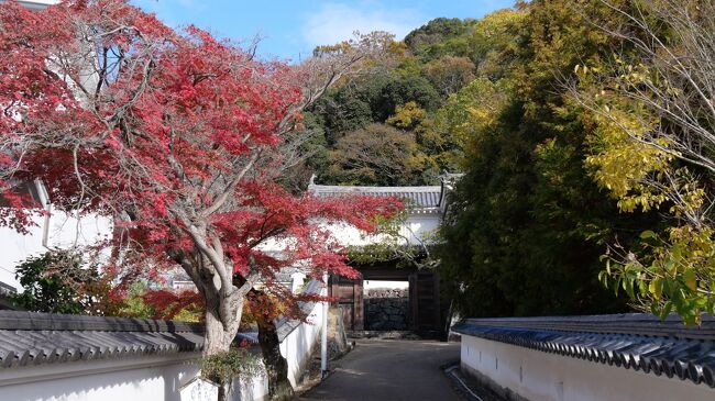 現在の兵庫県の一部である旧播磨国で有名な城といえば、「世界遺産」の姫路城。<br />ただ、旧播磨国はかつて室町幕府の重臣赤松氏、「軍師官兵衛」で登場した黒田氏、小寺氏、別所氏など群雄が割拠し、多くの城がありました。<br />今回は姫路城に比べるとマイナーなお城をまわってみました。<br />１２月といえば「忠臣蔵」<br />まず、「忠臣蔵」ゆかりの龍野城と赤穂城へ行きました。