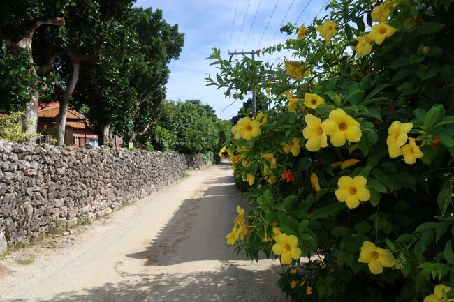 2023/06 石垣島から日帰りで竹富島を巡って来ました。その旅行記