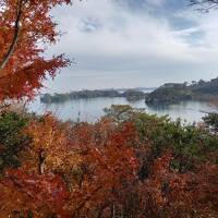 まだ紅葉もきれいだった松島