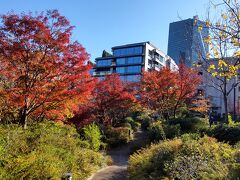 東京ミッドタウン・横浜エアキャビン・明治神宮外苑・ニールヤードレメデ－ズ表参道本店　2-2　