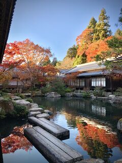 紅葉を探して東海地方+滋賀(その11・完)