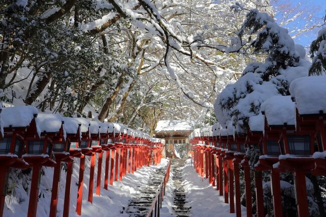 京都の紅葉は何度も見に行っていますが、残念ながら雪景色は一度も見たことがありませんでした。<br />かねてから京都の雪景色を見てみたいと思っていましたが、中々機会に恵まれず、2023年の1月に京都に大雪が降った際にチャンスと思って京都に駆け付けました。<br />その際の旅行記になります。<br /><br />丁度出発した日が大雪で、相生あたりでポイントが雪に埋まって新幹線が止まって2時間缶詰めになるとか、深夜の京都駅で大雪で帰れなくなった大勢の方が一夜を明かそうとしているところを見られたりと、貴重な経験も出来ました。<br />ただ、翌日の午後には京都市街地の雪は大分溶け始め、最終日の昼には京都市内からほとんど雪が無くなっていたので、中々京都の雪景色を見るのは難しいな、とも感じましたね。<br /><br />急に出かけた旅行なので、日程は短めです。<br />旅程は以下の通りです。<br /><br />0日目：自宅から新幹線で京都へ<br />1日目：北山から大原へ向かい、その後東山へ<br />2日目：下鴨、上賀茂、貴船を周ってから自宅へ<br /><br />この旅行記は2日目の記録になります。<br /><br />よろしければご覧ください。