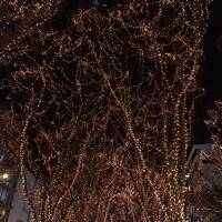 SENDAI光のページェントも見に行きました