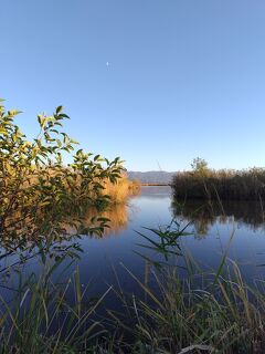 新潟県の旅（第７回目）～新潟市、新発田市～