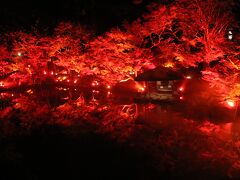 姪の結婚式で東京へ（目黒川・八芳園）