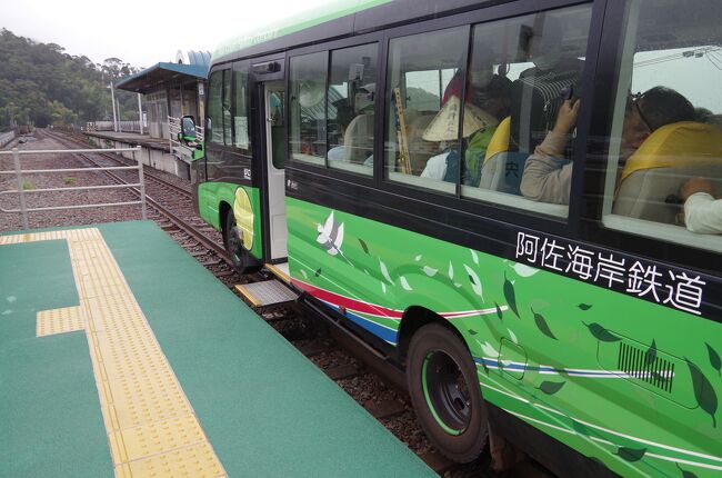 はりまや橋→御免町→奈半利→室戸岬→室戸世界ジオパークセンター→海の駅東洋町→宍喰→宍喰温泉→阿波海南→徳島→徳島港<br />→和歌山港→なんば<br /><br />四国みぎした５５フリー切符で右下を回ってきました。