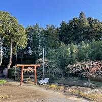 東北史跡と食い物巡り旅3(松島、塩竈、多賀城、仙台)