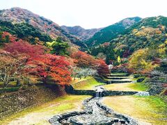 養老の滝