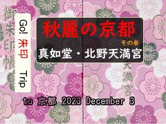 Go!  朱印 Trip to 秋麗の京都 その参「真如堂・北野天満宮」2023 Dec.３ pm