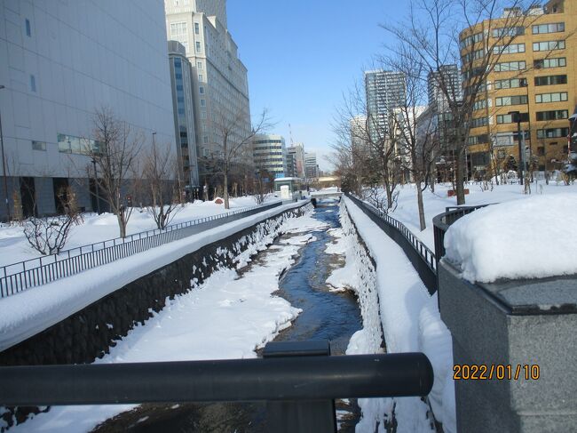 雪の札幌を楽しみました<br />少し足をのばして、美術館も楽しみました