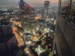 東京に着いたら先ずは都庁展望室