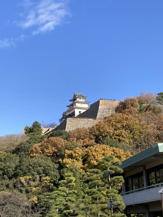 LCCで行く讃岐・岡山の旅は、こんぴらさんを後にして山城の石垣で有名な丸亀城へ登って来ました。こんぴらさんの後なので、丸亀城登った後の太ももはパンパンです。丸亀城から見る瀬戸内海および丸亀市内の眺めは格別でした。岡山への移動中に見たJR四国のあんぱんマン特急が見れて心がほっとしました。