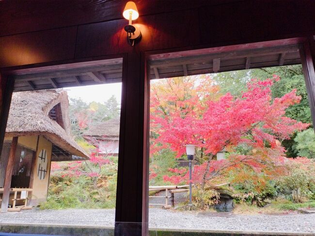 京都で祇園に泊まる「二年坂・産寧坂・八坂庚申堂 ・先斗町」