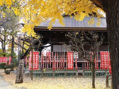 甲州街道を歩く（府中～日野）