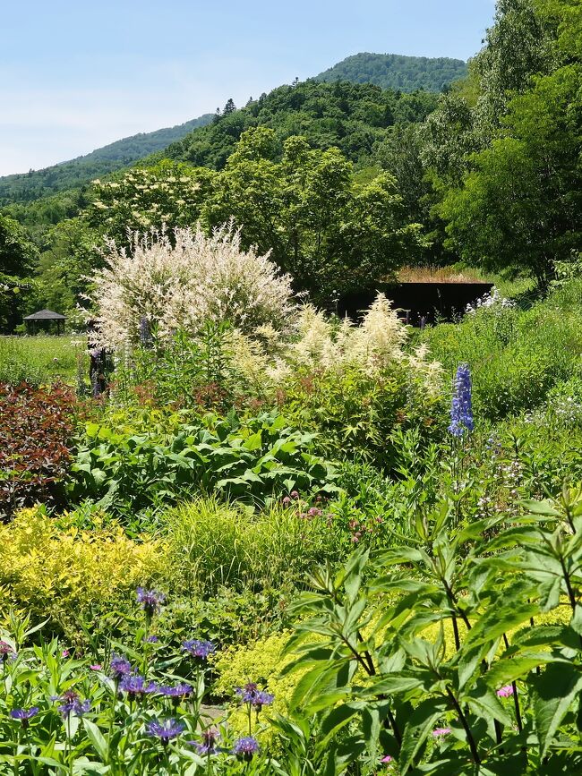 脚本家・倉本聰氏のテレビドラマ『風のガーデン』のロケ地となった庭園。グリーンハウス内には撮影時のセットが一部再現されている。<br /><br />花の香りや風を感じながら、約450種類の季節の花々が移り咲く美しい小路を散策できる。<br /><br />約2,000平方mの広大な敷地、木々に囲まれた特別な空間。<br /><br /><br />原種の力強さやオールドローズの繊細な美しさが満喫できる「薔薇の庭」や、「野の花の散歩道」など魅力的なエリアもある。