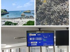 9月は阿嘉島で釣りして海の中で魚と戯れて＆後半は宮古島で沈没生活13日間の旅～11日目、12日目海遊びして13日目帰京