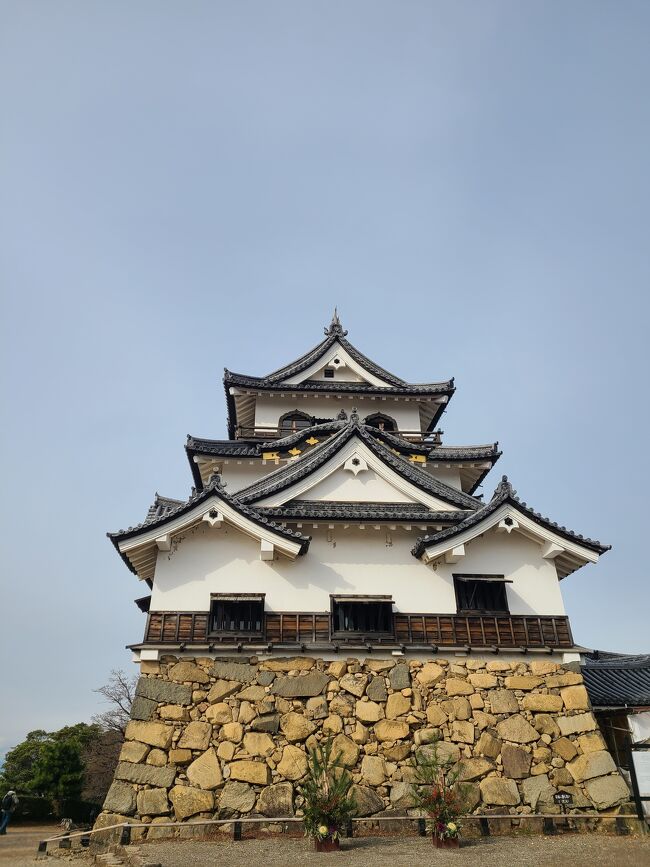 今年最後の旅は京都と彦根城で締めくくります。<br />京都では美術館と神社巡りを楽しみ彦根城では動くひこにゃんを愛でて来ました。