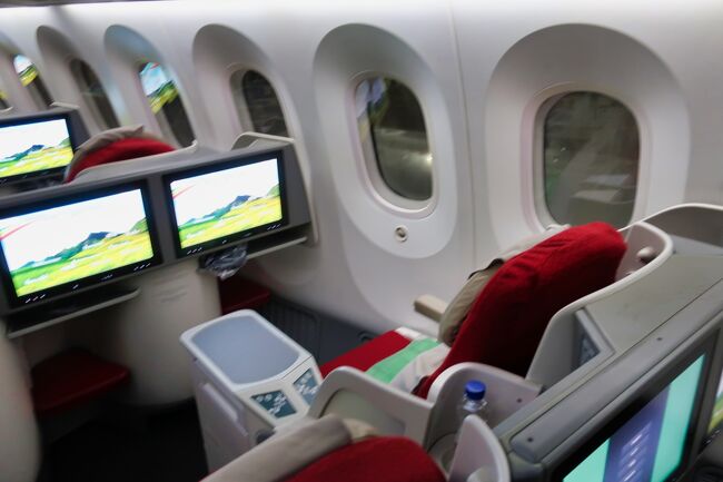 会社の休暇制度で9連休を頂きました。<br />今回は1人旅ということで、なかなか行きづらい西アフリカを訪問してみることにしました。<br />訪れた国はコートジボアール、ギニア、ブルキナファソの3か国。<br />この3か国を選んだ理由は特典航空券で一筆書きできるルートだったからです。<br />ANAのマイレージで全旅程をビジネスクラスで手配することが出来ました。<br /><br />この旅行記は周遊7区間目、アディスアベバ→ソウル/仁川の搭乗記です。<br /><br /><br /><基本情報><br /><br />■航空券<br />・ANAスターアライアンス特典ビジネス 110000マイル+諸経費25,900円 <br /> (01)06/03 NH2516 鹿児島(10:10)⇒名古屋(11:30)<br /> (02)06/03 NH494 名古屋(14:15)⇒成田(15:35)<br /> (03)06/03 ET673 成田(21:15)⇒アディスアベバ(07:05)<br /> (04)06/04 ET512 アディスアベバ(09:00)⇒アビジャン(11:30)<br /> (05)06/06 ET935 アビジャン(14:50)⇒コナクリ(16:40)<br /> (06)06/08 ET932 コナクリ(08:30)⇒ワガドゥーグー(10:40)<br /> (07)06/09 ET936 ワガドゥーグー(09:35)⇒アディスアベバ(19:40)<br /> (08)06/09 ET672 アディスアベバ(22:35)⇒成田(20:15)<br /> (09)06/11 NH623 羽田(11:50)⇒鹿児島(13:40)