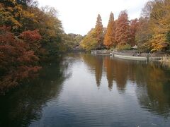 やっぱり楽しい、秋の井の頭公園散歩