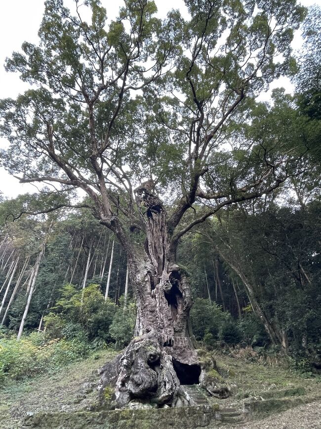 ４泊５日 九州一周旅行１日目