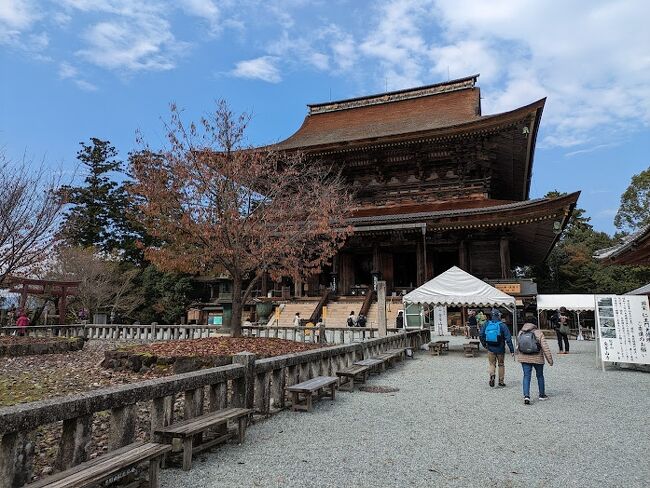 行ってみたかった吉野山。<br />10月に入って「どこかに紅葉を見に行きたい。そうだ、吉野へ行こう！」と思い立って行くことにしました。<br />ただ、今年の関西は10月でも温かく紅葉の見頃が予測がしにくい状況でした。紅葉の見頃がハズレても、春の桜の下見になるし・・と、エイヤーで日程を11月15日に決定。これが「吉」と出るか「凶」と出るか・・！？<br />結果は大ハズレ。山桜とモミジどちらも紅葉も見ることができませんでした。「いやいや　初めてやから、しゃーないわな。お～ん」<br /><br />吉野山の紅葉シーズンは２回あります。<br />まず10月中旬以降の「山桜の葉」<br />次に11月中旬以降の「モミジ」<br /><br />今年の11月15日の状況はというと・・・<br /> 〇山桜の葉⇒既に『落葉』<br /> 〇モミジ　⇒頂上の奥千本は『見頃近し』<br />　　　　　 ⇒中腹の上千本と中千本、麓の下千本は『色づき始め』<br />奥千本まで登ればモミジの紅葉が見れたのですが、時間的に無理があり諦めました。<br /><br />◆所要時間：7時間（大阪から）<br />　〇近鉄電車4時間（往復）<br />　〇散策時間3時間<br />◆散策エリア》滞在時間 約3時間<br />　〇下千本エリア（ロープウェイと徒歩）　<br />　〇中千本エリア（徒歩）<br />　  黒門 → 金峯山寺 → 竹林院 → 如意輪寺 → 後醍醐天皇陵 → 吉水神社<br />