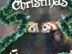 2023年最後のレッサーパンダ遠征は静岡浜松三島（３）動物園いろいろ～クリスマスを探しながら～雨の日本平動物園・浜松市動物園＆晴れの楽寿園