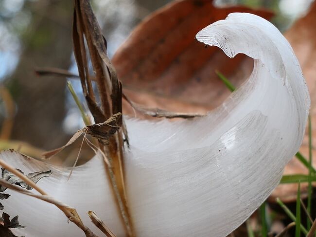 2023登り納めは“あの”氷の華