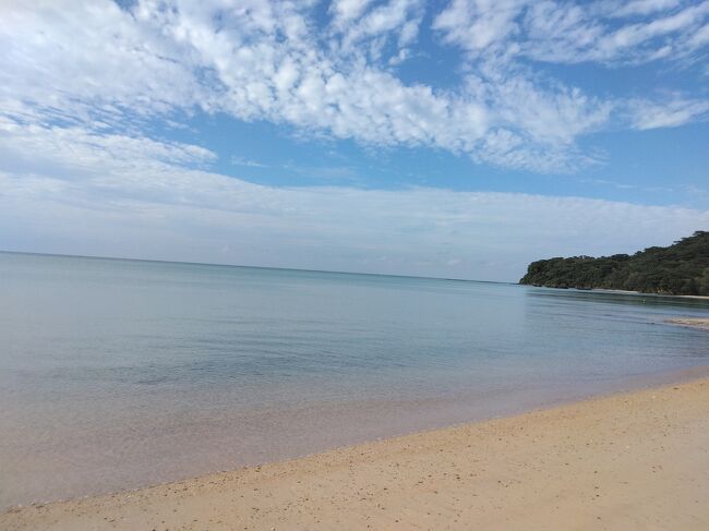 東洋のガラパゴス西表島。<br />秘境でした。