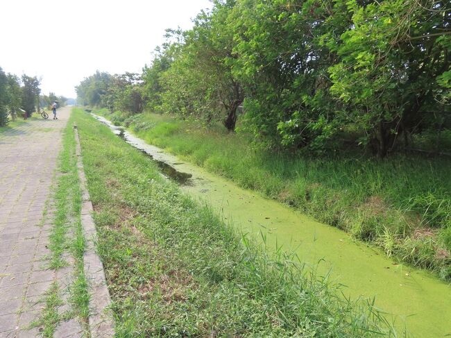 【援中港湿地公園・蚵仔寮漁港までポタリング 高雄 2023/12/14】<br /><br />友人と援中港湿地公園・蚵仔寮漁港までポタリングに行きました。<br />瑞豊夜市の前で友人と落ち合い、東門路、海平路を走行、途中、薛氏宗祠に立ち寄りました。ここには、観光客が殆んど訪れることはありませんが、丁寧に手入れされた三合院の住居跡が残されていました。再び、海平路、軍校路、途中から新しく出来た道を走行して、援中港濕地公園に着きました。<br />先ずは、援中港濕地公園周辺を見学しました。正面の入口に着くと、閉門、土日が営業日であることが判りました。次回、又、来ることにして、蚵仔寮漁港へ行ってみました。<br />往復30㎞のポタリングでした。