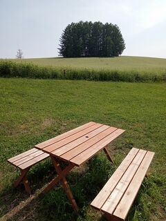 おしゃれなカフェをはしご。丘の町　美瑛を行く。