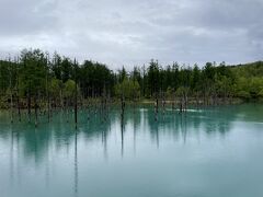 旅行支援で行く、札幌/小樽/富良野エリア2泊3日の旅！