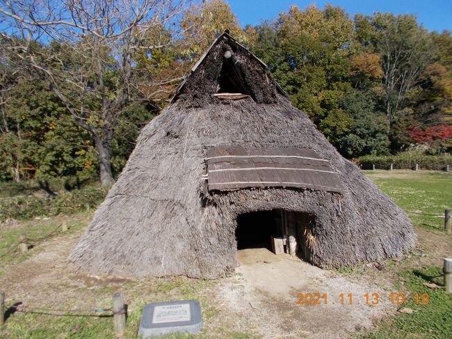 茨城県民の日ということで、土浦方面まで博物館めぐりをしてきた。最初に上高津貝塚 土浦市立考古資料館へ行った。県民の日なので無料で入館できた。貝塚が発見されているところにできた考古館なので、縄文時代からの土浦周辺の歴史が詳しく説明されていた。出土した土器や狩猟道具なども多数展示されている。「中期縄文土器の世界」という企画展が開催されていて、東北南部から中部東部の地域で出土した縄文土器が多数展示されていた。次に隣接する上高津貝塚ふるさと歴史の広場に行った。広場というよりはグラウンドに近い広さである。広場の入り口から一番奥のところに、歴史で学んだ竪穴式住居が2戸復元されており、実際に中に入ることができる。中は1段低くなっていた。高さはあるので、中では普通に立って生活することができた。続いて土浦市立博物館と土浦城跡に行った。土浦市の歴史や文化が詳しく解説されている博物館である。入口には、毎年秋に開催される花火競技大会に使われた打ち上げ花火の太く背の高い筒が3本展示されていた。1階には企画展のスペースがあり、土浦藩土屋家に伝わる数々の刀が展示されていた。土浦市立博物館の横に広がる公園が土浦城跡である。公園の敷地の博物館と反対側に東櫓という櫓門があり、中に入ることができる。東櫓内には大きな太鼓やしゃちほこが展示されている。土浦城の歴史についても詳しくパネルで説明されていた。それほど高い建物ではないが、最上階からは外を見られ、城址公園を見渡せるほか、堀や周囲のビルなども見ることができる。最後に、自宅に戻りつつつくばエキスポセンターに行った。魚の水槽もいくつかあり、その日が科学的に何の日かも教えてもらえた。