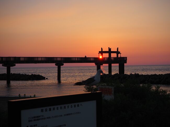 ここ数年夏に、新潟県糸魚川市に誕生日御朱印を頂きに出かけるので、今回は柏崎市に泊まり１泊２日で出かけて来ました<br /><br />２日目は、彌彦神社参拝、弥彦山スカイラインで弥彦山頂まで行き、弥彦神社の奥の宮にもお詣りし、その後は気になった場所を観光してきました<br />この日も天気が良かったので、夕日が綺麗に見られると思い、最後に見てから帰りました。<br /><br /><br />能登地震で被害に遭われた皆様にお見舞い申し上げます<br /><br />こちらの旅行記は７月に行った様子です<br />この時私が行った場所でも、震度５強はあった地域もあるので、<br />もしかしたら地震の影響で状況が変わってるかもしれませんが、記録としてレポさせて頂きます<br />