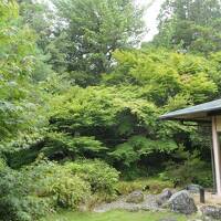 夏の山梨・箱根・伊豆旅♪　Vol.162 ☆伊豆長岡温泉「三養荘」：さようなら♪