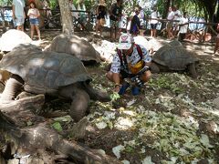 タンザニア　ザンジバル島フリータイム