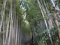 日本100名城・佐倉城址