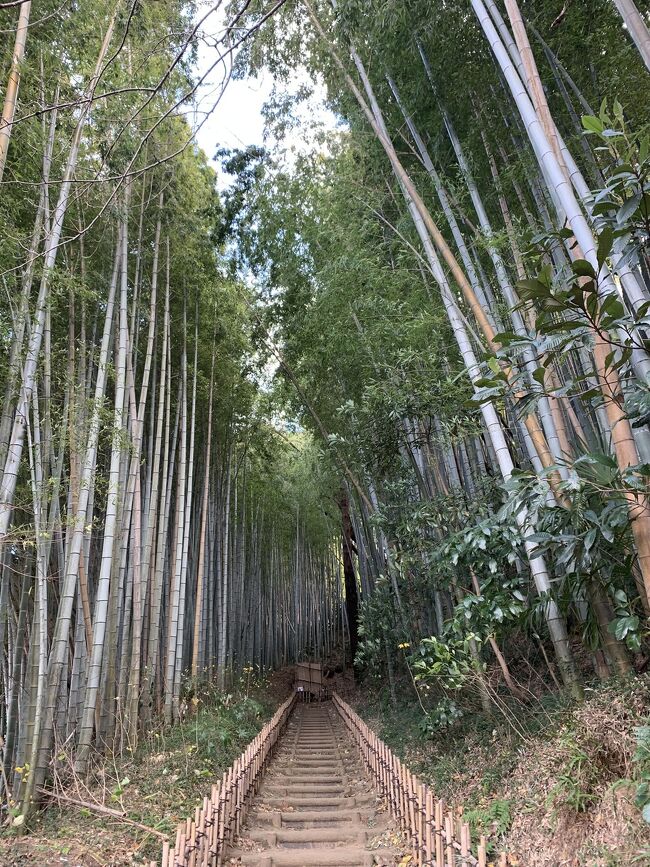 今年に入ってから沖縄の首里城、今帰仁城、埼玉の川越城、函館の五稜郭、佐賀の吉野ヶ里遺跡と福岡の福岡城址と旅先でなんとなく寄ってきたところが日本100名城に選ばれてたのを母に話したら食いついてきた（笑）<br />冬の青春18切符が売り出される期間になったのでどこか日帰りできる近場で、普段のJR往復より少しお得なところにある城を観に行こうと誘われて行ってきました。<br />