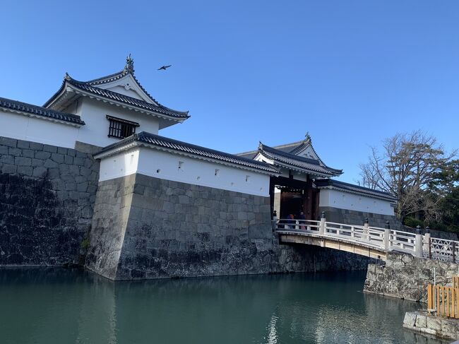 先週行った佐倉城址に続いて日帰りできる日本100名城を青春18切符で行ってきました。<br />今回は西側に移動して静岡の掛川城と駿府城の２ヶ所巡ってみました。