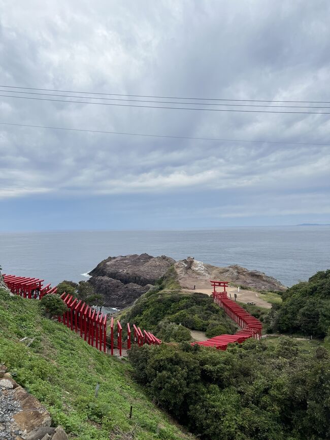 山口の絶景を巡る旅、最後は<br /><br />元乃隅稲成神社や角島大橋といった海とのコラボの絶景です。<br /><br />秋吉台も２０年振りぐらいに訪れました。