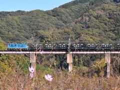 秋の長瀞を巡る旅2023～荒川橋梁を渡る鉱石列車と長瀞の秋景色～（埼玉）