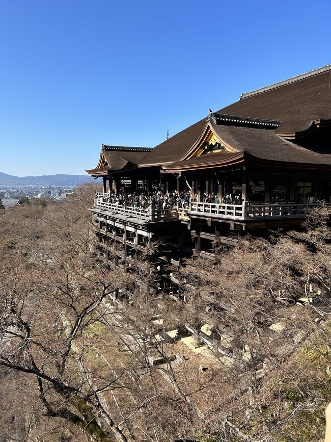 年末年始は京都長期出張中の嫁さんが神奈川に帰省せず、こちらが関西帰省を兼ねて京都訪問することに！<br /><br />年末年始を京都で過ごすのは学生時代以来なんで、初詣三昧するかな？<br /><br />京都では嫁さんのマンションを起点にするけど、せっかくなんでホテルステイも楽しみます！<br /><br />もちろん実家（伊丹）にも元旦に帰省して、久しぶりにお墓参りもして、その後また京都に戻ってプチ観光＆グルメも楽しみます(^_^)<br /><br />【スケジュール】<br />12/28（水）　移動日　座間→京都<br />　　　　　　嫁さんマンション泊<br />　　　　　　夕飯：たんと　https://maps.app.goo.gl/UA62RSKKt3miwaeC7?g_st=ic<br /><br />12/29（木）　ホテルステイ（グランヴィア京都）　https://www.granvia-kyoto.co.jp/<br />　　　　　　ランチ：権太呂本店　https://gontaro.co.jp/kyoto/<br /><br />12/30（金）　ホテルステイ（グランヴィア京都）　https://www.granvia-kyoto.co.jp/<br />　　　　　　下鴨神社　https://www.shimogamo-jinja.or.jp/<br />　　　　　　夕飯：鮨まつもと　https://maps.app.goo.gl/o7Pt5G9niWwv323ZA?g_st=ic<br /><br />12/31（土）　嫁さんマンション泊<br />　　　　　　夕飯：京都高島屋お惣菜　https://www.takashimaya.co.jp/kyoto/departmentstore/<br /><br />1/1（日）　　嫁さんマンション泊<br />　　　　　実家（伊丹）帰省　京都&#8596;︎伊丹<br />　　　　　夕飯：祇園 松むろ　http://www.matsumuro.jp/sp/<br /><br />1/2（月）　ホテルステイ（ザ・ホテル青龍 京都清水）　https://www.princehotels.co.jp/seiryu-kiyomizu/<br />　　　　　夕飯：THE SODOH HIGASHIYAMA KYOTO https://www.thesodoh.com/<br /><br />1/3（火）　嫁さんマンション泊<br />　　　　　夕飯：鉄板魂3104ん家　https://maps.app.goo.gl/s2nXEPMAG6mCanDP9?g_st=ic<br /><br />1/4（水）　移動日　京都→座間<br />　　　　　ランチ：麺屋 猪一　https://inoichi.stores.jp/<br />　　　　　買い物：原了郭　http://www.hararyoukaku.co.jp/<br /><br />お正月2日は、ブランチを京都市内で食べてから、清水にあるホテルに荷物を預けて、清水寺や八坂神社を巡って初詣して、御朱印もいただいておみくじも引いて今年の運勢を占ってみます(^_^)