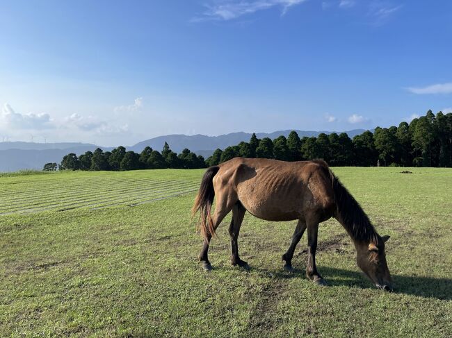 宮崎県を縦断して都井岬へ