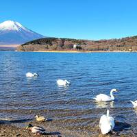 富士山、そして暖かい伊豆に。