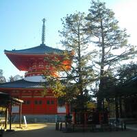 年末年始の高野山（新年）