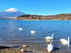 富士山、そして暖かい伊豆に。