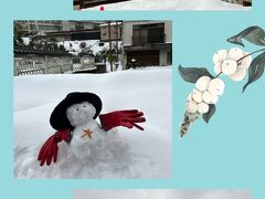 鳥取でカニを食べて、雪の砂丘や湯村温泉街にも行ってきました♪