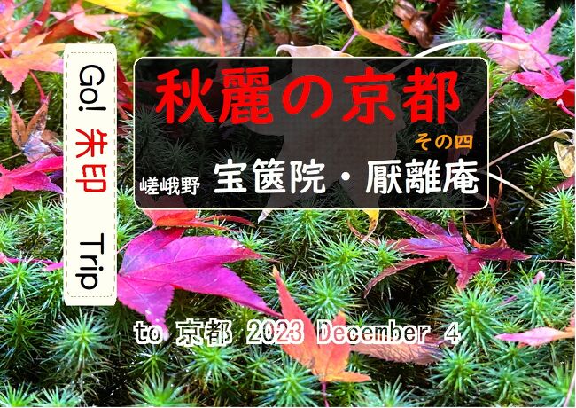 Go!  朱印 Trip to 秋麗の京都 その四「嵯峨野 宝篋院・厭離庵」2023 Dec.４ am