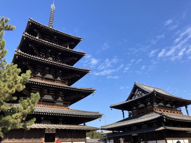 2週間前に法隆寺に行きたくて、奈良日帰り旅行をしたのに、時間がなくて、行けず、今度こそ法隆寺へ♪<br /><br />高速使わずに下道で行ったら、2時間半もかかって疲れました。<br /><br />法隆寺と唐招提寺と、平城京跡に行ってきましたー☆
